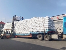 把握機遇、鉚足干勁、承勢而上