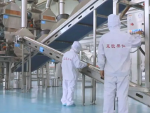 2025年的第一個月，承德亞歐果仁有限公司在山杏產(chǎn)業(yè)的道路上持續(xù)奮進，展現(xiàn)出蓬勃的發(fā)展活力。